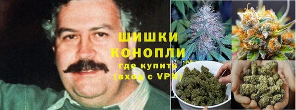 ПСИЛОЦИБИНОВЫЕ ГРИБЫ Покачи